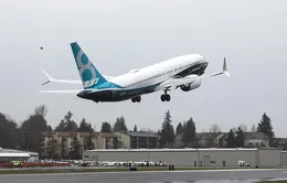 Malaysia Airlines thông báo ngừng đặt hàng Boeing 737 MAX