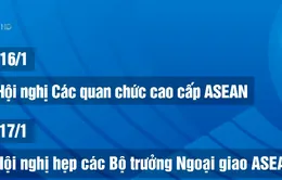 Đợt hội nghị đầu tiên của Năm ASEAN 2020