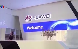 Ceo Huawei: Mỹ sẽ còn tấn công trong năm 2020