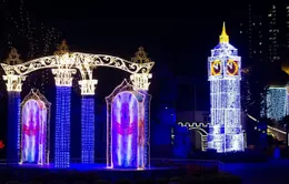 Lễ hội ánh sáng Fantasy Light Festival 2020