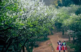 30 Tết - Tết của những người "dịch chuyển"