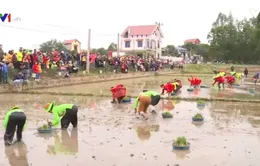 Người dân nô nức lễ hội xuống đồng xây dựng nông thôn mới