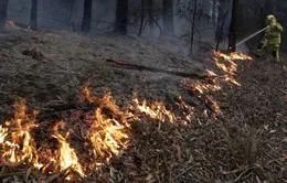 Australia điều lực lượng lớn nhất lịch sử ứng phó với cháy rừng