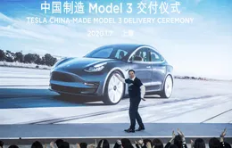 Cổ phiếu của Tesla đang giao dịch gần mức cao kỷ lục