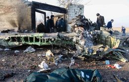 Không phát hiện dấu hiệu máy bay gặp nạn ở Iran bị tên lửa bắn hạ