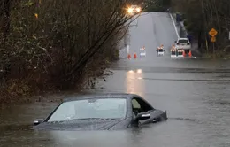 Hiện tượng La Nina gây mưa bão nhiều hơn