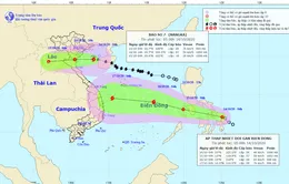 Bão số 7 đi vào đất liền các tỉnh từ Thái Bình đến Nghệ An và suy yếu dần thành áp thấp nhiệt đới