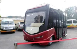 Bộ GTVT đồng thuận đề xuất khai thác xe bus điện tại Hà Nội và TP.HCM