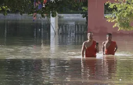 Lũ lụt nghiêm trọng ở Campuchia, hàng chục người thiệt mạng