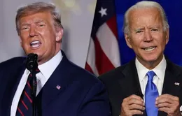 Thị trường đặt cược vào ông Joe Biden: USD mất giá thêm, Euro tiếp tục leo thang?