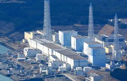 Nước thải từ nhà máy điện hạt nhân Fukushima có thể làm biến đổi ADN