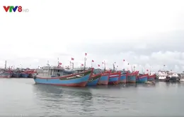 Lý Sơn: Kêu gọi tàu thuyền vào nơi tránh trú bão an toàn