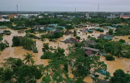 UNDP hỗ trợ khẩn cấp cho người dân miền Trung Việt Nam