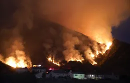 Cháy rừng thiêu rụi diện tích lớn ở California