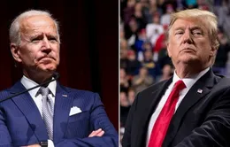 Ứng cử viên Joe Biden dẫn trước ông Trump 14 điểm