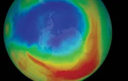 Phát hiện lỗ thủng tầng ozone lớn nhất ở Nam Cực