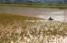 Thiện nguyện rất đáng quý, nhưng chỉ khi an toàn mới cứu được người khác