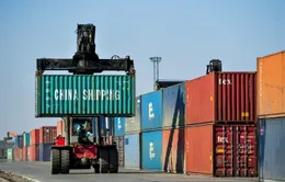 WTO: Giao dịch hàng hóa toàn cầu giảm 9,2% trong năm 2020