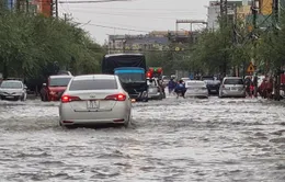 Quảng Nam: Mưa lớn gây ngập nhiều tuyến đường ở Tam Kỳ, Phú Ninh