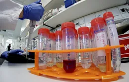 Du khách đến Singapore phải xét nghiệm PCR trong vòng 72 giờ trước khi khởi hành