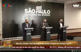 Brazil dừng thử nghiệm vaccine COVID-19 Trung Quốc