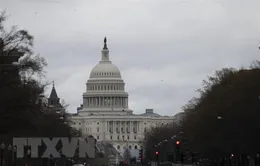 Bầu cử Mỹ 2020: Cuộc đua nghẹt thở tại Thượng viện, đảng Cộng hòa vươn lên dẫn trước