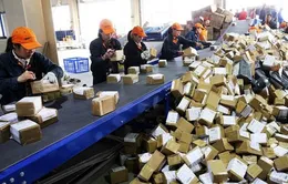 3 triệu người, 4.000 máy bay và tàu chở hàng phục vụ Ngày Độc thân