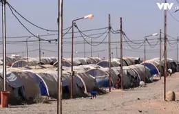 Trại tị nạn Iraq đóng cửa, nguy cơ 100 nghìn người trở thành vô gia cư
