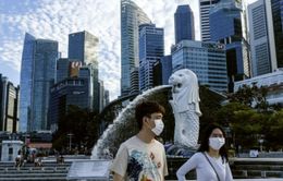 Singapore “trải thảm thị thực” đón các chuyên gia công nghệ