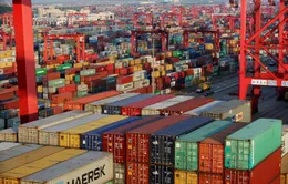 Ký kết hiệp định RCEP: Điểm sáng trong một năm thách thức