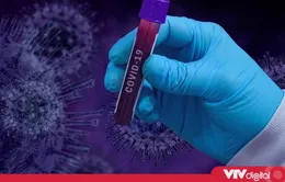 Tin nóng đầu ngày 18/11: Phát hiện biến thể mới của virus SARS-CoV-2