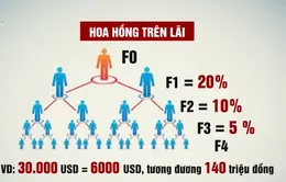 Sự thật đằng sau gói đầu tư "ngồi chơi, lấy lãi" của King of Invest?