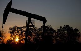 OPEC+ xem xét khả năng hoãn kế hoạch tăng sản lượng dầu