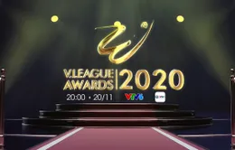 V.League Awards 2020: Hội tụ và tỏa sáng các danh hiệu (20h00 ngày 20/11 trên VTV6 & App VTV Sports)