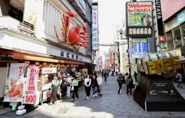Du khách đến Nhật Bản giảm gần 99% trong tháng 10
