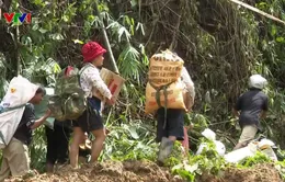 Người dân vùng sạt lở Trà Vân mở kho thóc, đùm bọc nhau qua khó khăn