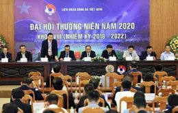 Khai mạc Đại hội thường niên VFF năm 2020 khoá VIII