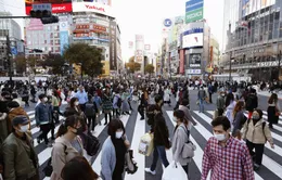 Giới chuyên gia Nhật Bản hối thúc chính phủ áp dụng biện pháp mạnh để chống dịch COVID-19