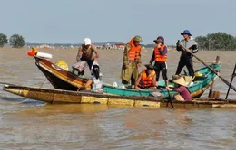 Công ty Cổ phần Phát triển Điện lực Việt Nam hướng về miền Trung ruột thịt