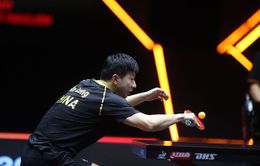 Ma Long và Wang Chuqin vào chung kết đơn nam giải bóng bàn WTT Finals