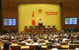 Sai sót biên soạn SGK, nên hay không đưa cơ quan điều tra vào cuộc?