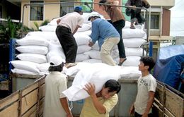 Hoàn thành xuất cấp gạo, trang thiết bị dự trữ hỗ trợ dân miền Trung