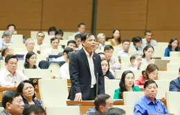 Bộ trưởng Nguyễn Xuân Cường: Rừng tự nhiên tăng 1,3 triệu ha sau 30 năm