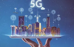 Triển khai 5G: Cần tính toán giải pháp và thời điểm phù hợp