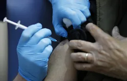 Pháp sẽ tiêm vaccine ngừa COVID-19 từ tuần cuối tháng 12