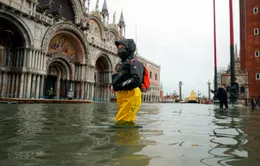 Thành phố Venice lại "thất thủ" trước triều cường vì... dự báo sai