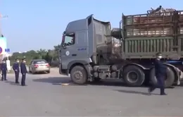 Đẩy mạnh kiểm tra ma túy với lái xe đường dài