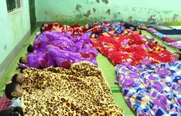 Các địa phương vùng cao tập trung chống rét đậm, rét hại
