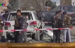Afghanistan: Phó thống đốc thủ đô Kabul bị ám sát