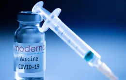 Bộ Y tế phê duyệt có điều kiện vaccine COVID-19 Moderna